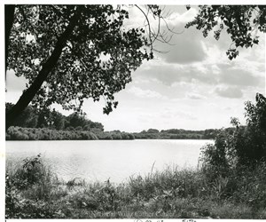 Image description is not available for PHO-4-W689-252